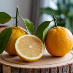 Quel terreau pour rempoter un citronnier 5 mélanges prêts à l’emploi selon votre situation