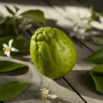 Citrus sudachi : cultiver cet agrume japonais au jardin ou en pot
