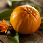 Fruit tangelo : tout savoir pour le cultiver et le réussir chez soi