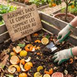 Agrumes dans le compostage : comment les intégrer au jardin