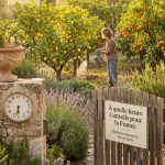 À quel heure arroser son jardin et les agrumes en france