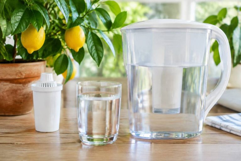 Comment faire de l’eau déminéralisée pour arroser les citronniers ?